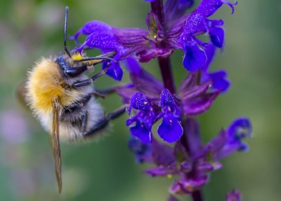 ������� ������: ��� ����� �������� ������ �� ����������