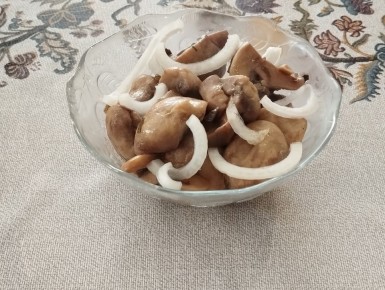 ��� ������ ������������ ����������: ��������� ������