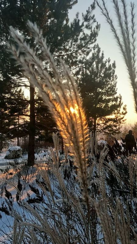 Доброе утро, Тольятти!. На календаре 1 февраля