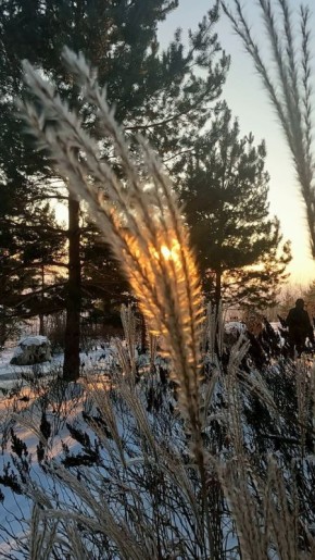 ������ ����, ��������!. �� ��������� 1 �������