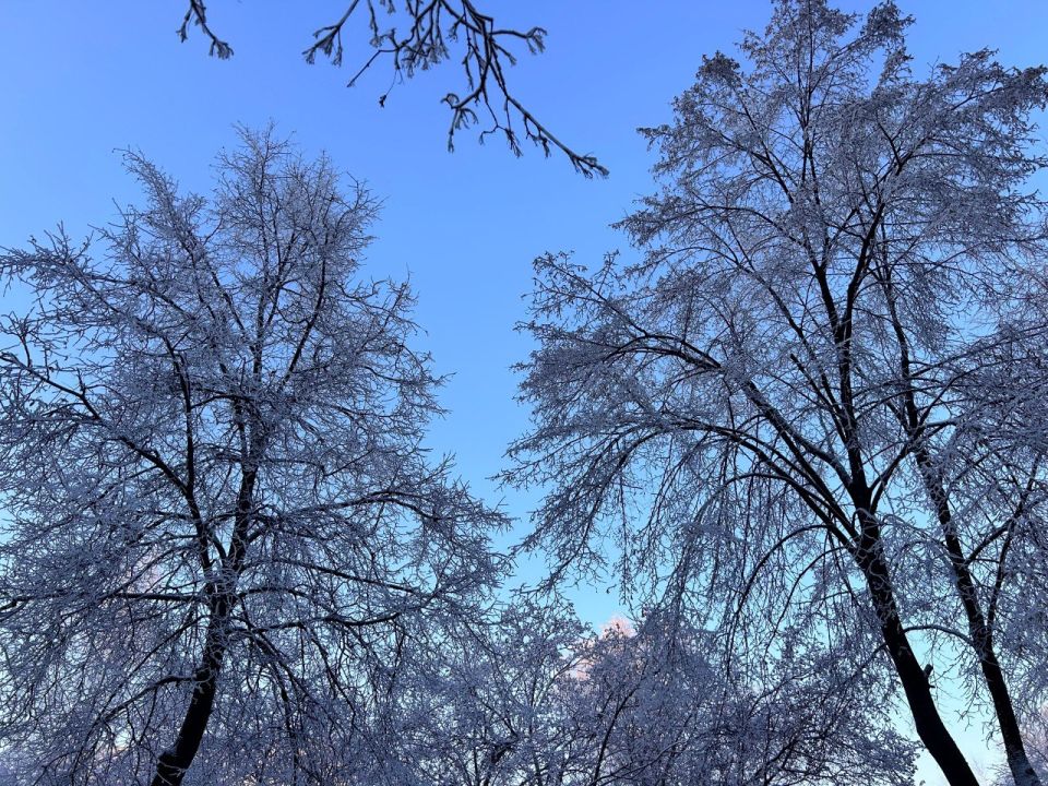 ����, ������ � ������� ������: � ������ ����� ������� ������ ������ ����������� �������� ��������