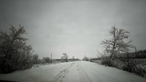 � ������ �������� ������� �����: ������������ �� ���