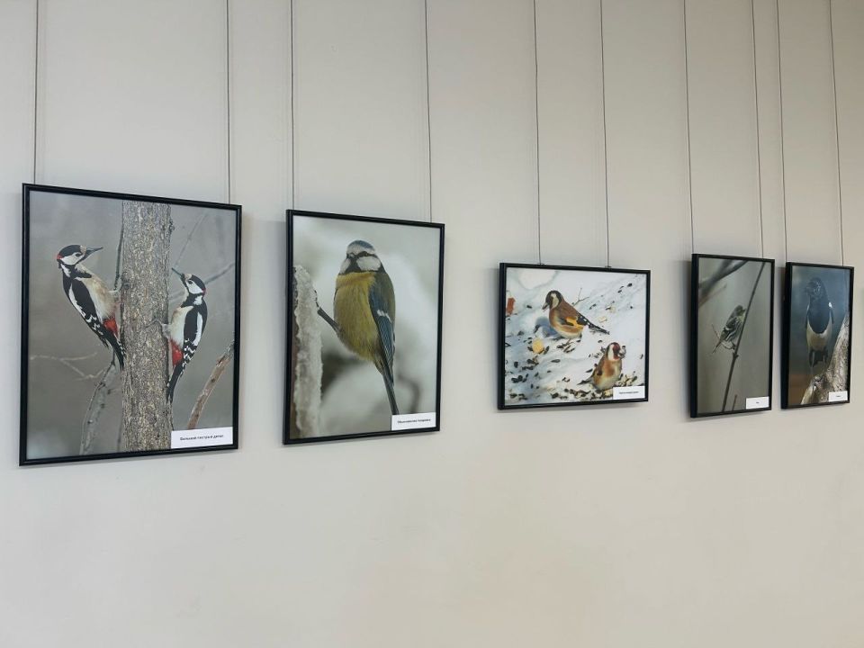 �������� �����. � 28 ������ � ����� ���� "������������� ������������� �����" ������ �������� ����� ������������ ��������� ����