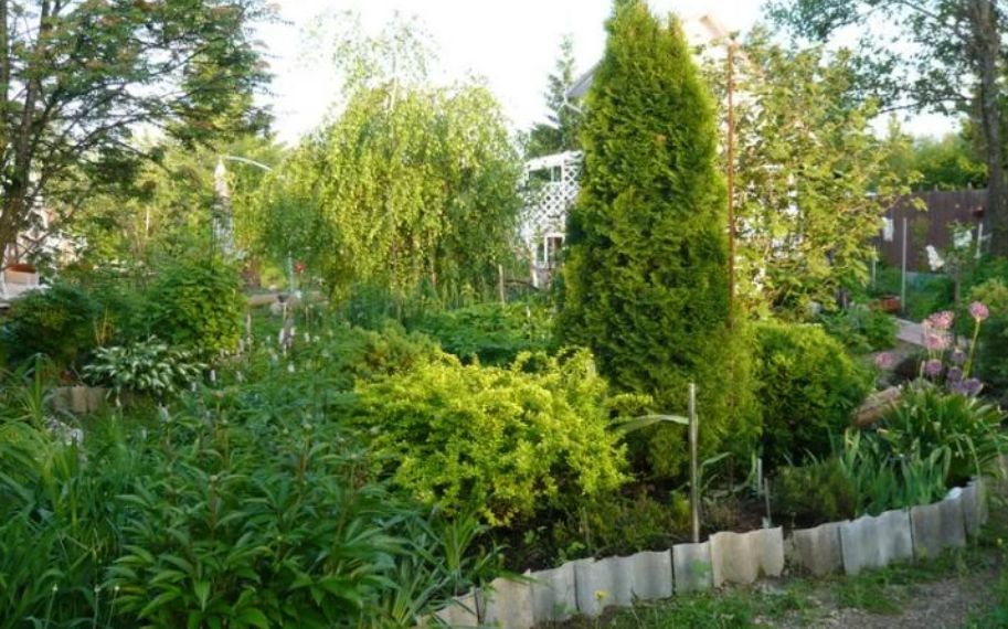 �������� � ����: ��� ���������� � ��������� � �����������