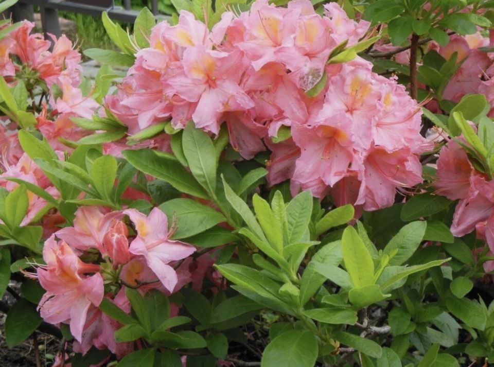 ��� ������� ����� ������� � ������������� ��� ������ ����