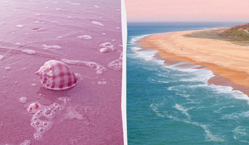 ���������� �����: ������������ ��������� ������� �� �������