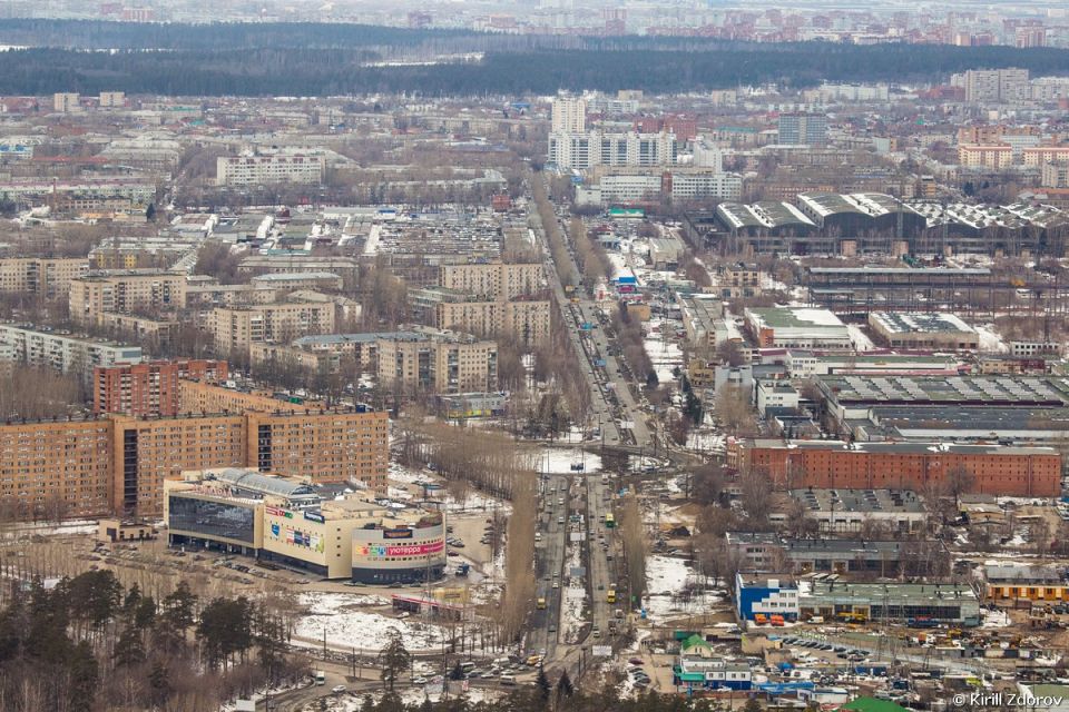 Сегодня – День ездовых собак!