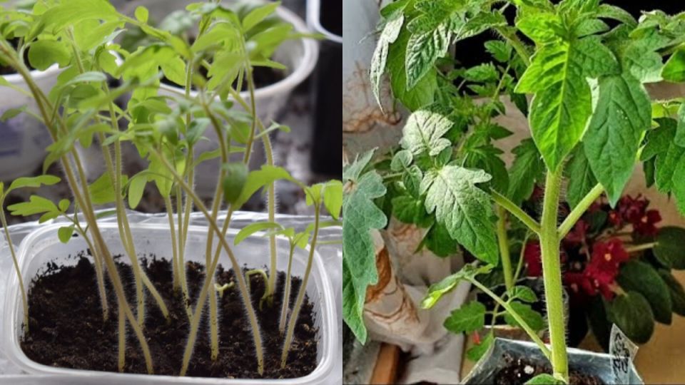 �����, ������� ������� ��� ������ � ����������� �������