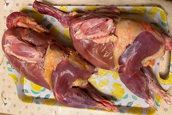 Фазан: уникальное мясо и вкусные способы его приготовления