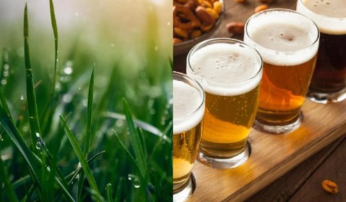 ��� ���� ����� ������ ��� �����: ����������� ������ ���������