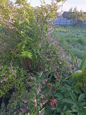 ������, ������� � ��������: ��� ������� ��� ����������� �������?