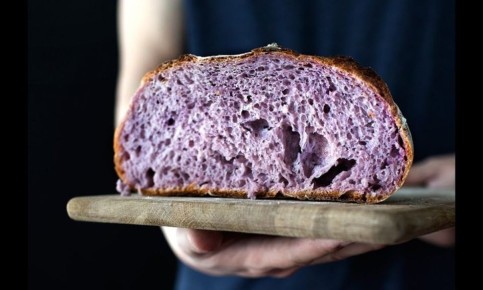 � �������� ��������� ��������� ���������� ���������� ����