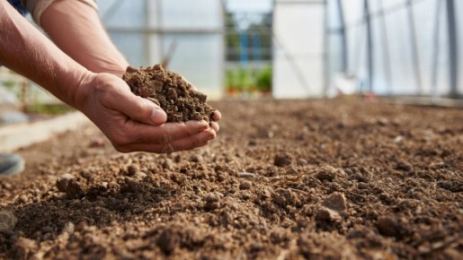 ����� ������ ���� ������������� �������, ����� ������ ������ ����������