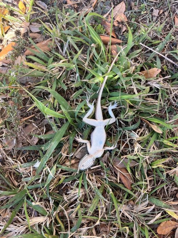 �������� ���� ����������!. �� ������ ����� ������� ���� �������� ������� � ������� ��-�� ������ �� ���� ������� ����������� �� ������� (�� 0 �� +3 � ��-��, ��� ������� ������� ��� ����� �����) �������� ������� � ������� �...