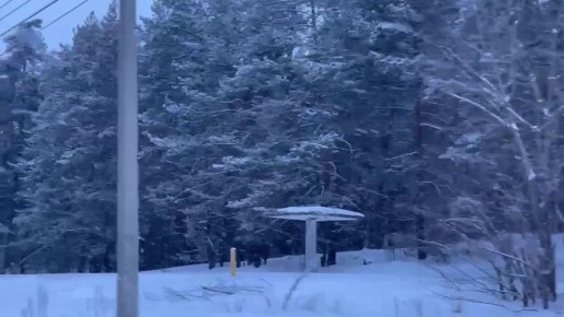 Зимняя сказка в Тольятти. Красиво падает снег, укутывая деревья