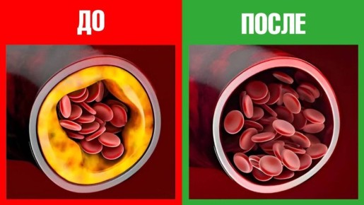 ��� �������� �������� �� �������� ������ � 2026 ����