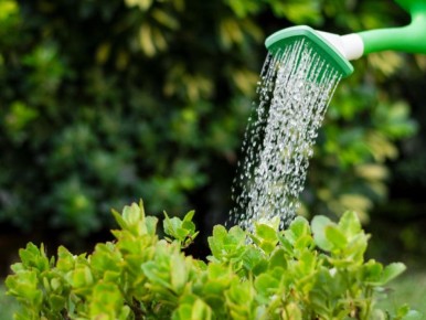 ��� ������� �������� ���� � ���������� �� ������: ������� ����