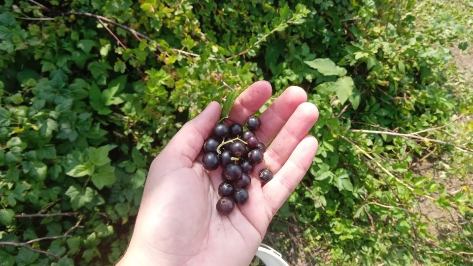 ���� �� ���������� � �������: ������ ������ � ������ ����� ��� ������ �������� ������