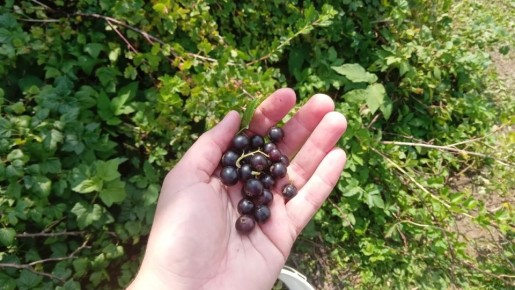 ���� �� ���������� � �������: ������ ������ � ������ ����� ��� ������ �������� ������