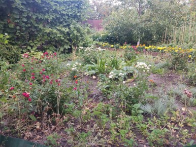 ����� ���� ���������� ������� ������: ������ ������ ��� gardeners