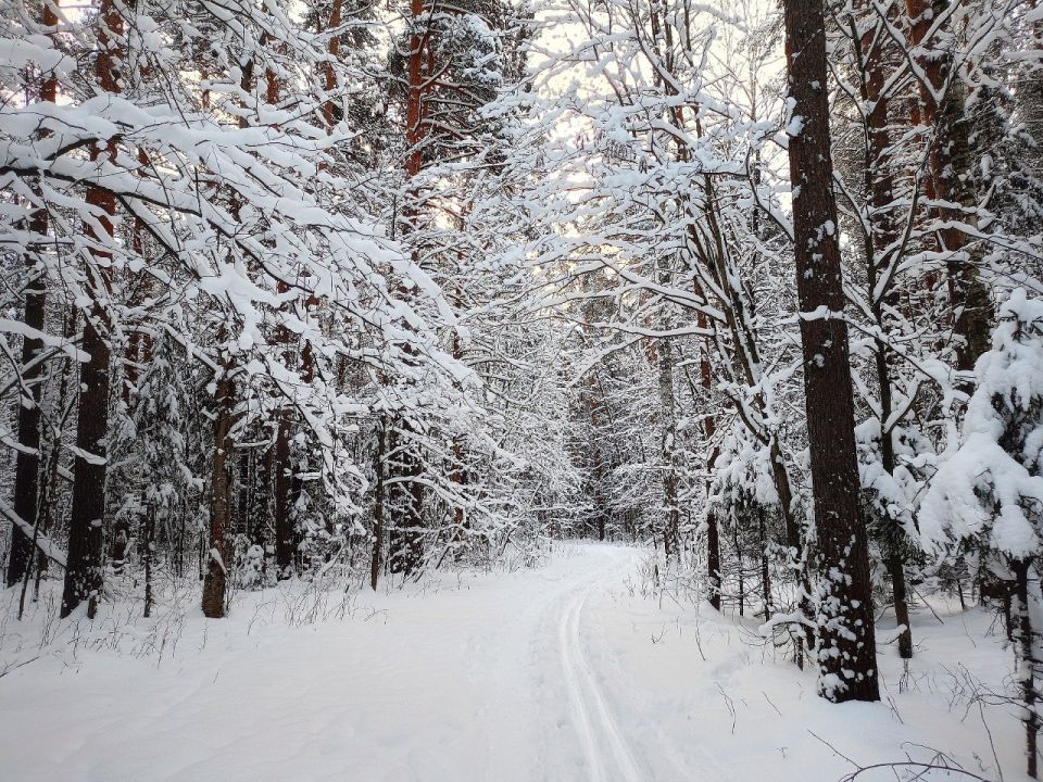 Доброе утро, Тольятти!. На календаре 4 февраля