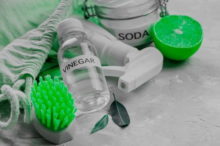 ������� ����� �� �����: ������ ����� � ������ �� ������