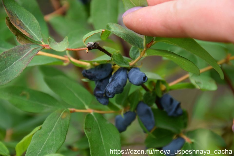 ��� ��������� ���������� ��������� ����� ���� ��� �������� ������