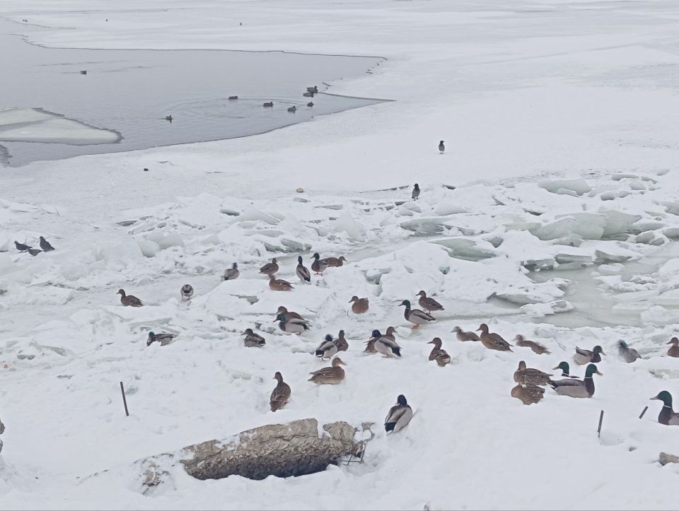 ����� ��������, ��� ����� ������ �� �� ����� � ��������� �������