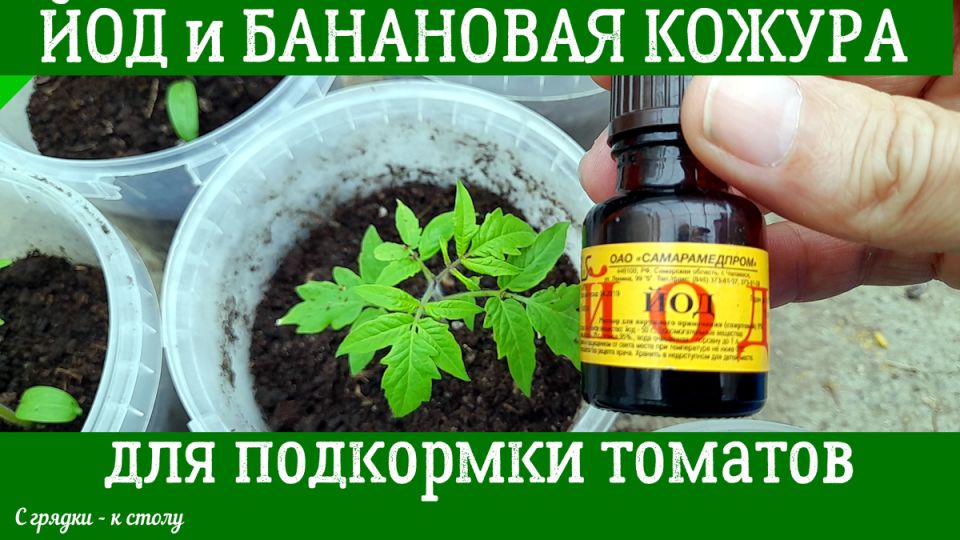 ����� ������� ������� � ����� � ��������� �������: ������� ������� ������