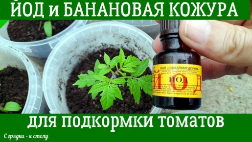 ����� ������� ������� � ����� � ��������� �������: ������� ������� ������