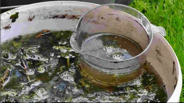 �������� ��������: ������� ������������� � ���������� �� ����� �������