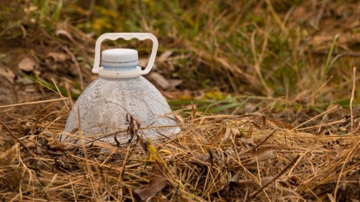 ��� ������� ���������� ���� ������: ������� ����������