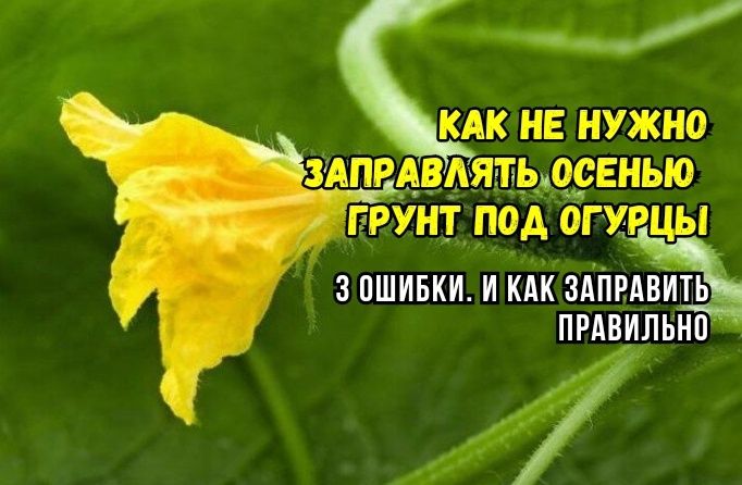 ��� ����������� ������ ��� ������: �������� ���������������� ������ ���������