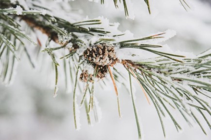 ������ ����, ��������!. �� ��������� 6 �������