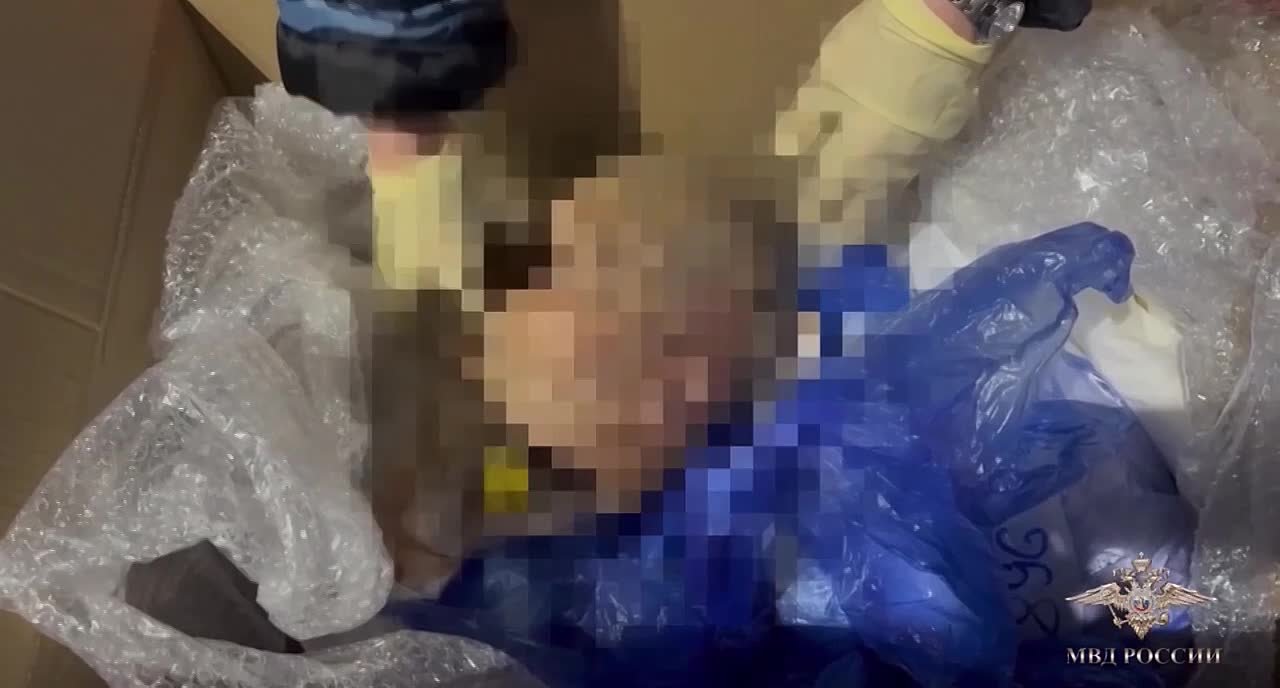 Главного патологоанатома Александровской больницы в Петербурге задержали по подозрению в торговле органами