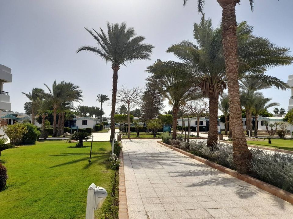 �������� � ������: ������ ��������� ������������ � �������� �������