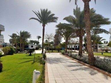 �������� � ������: ������ ��������� ������������ � �������� �������