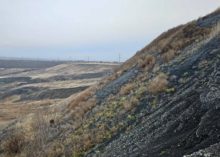 ������������ ������ ��������� �� �������