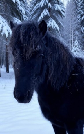 ������� ��� � ��������� ������ ������� ������ ������