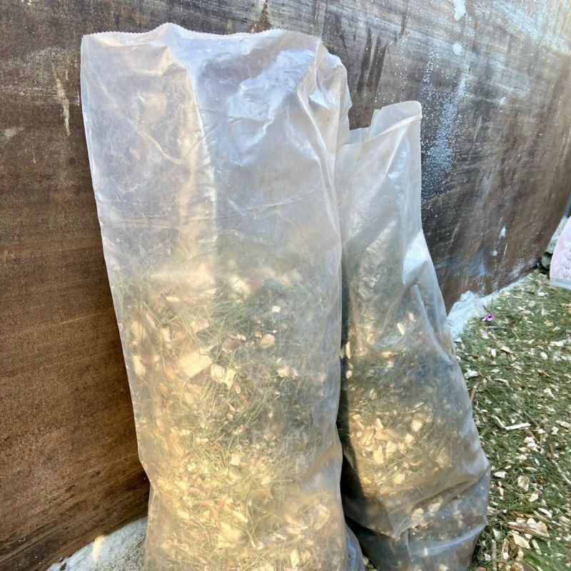 Тольяттинцы сдали хвойные на переработку