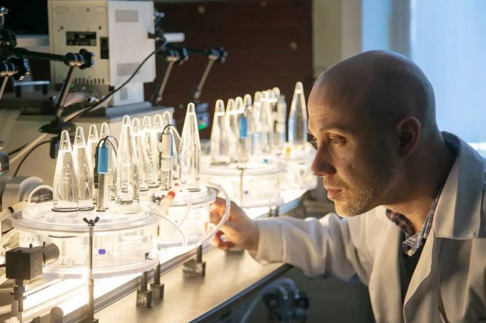 ������������ � ���� ���������� ����� �� ����������� ��������� ������� ��������� ����������: