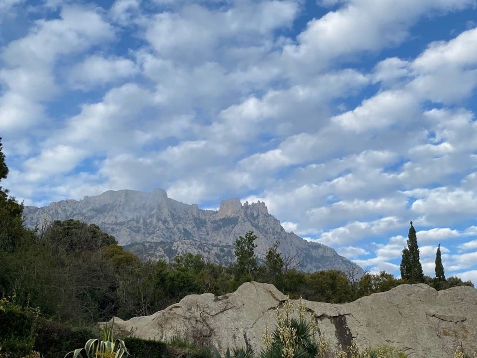 ����� ������� ������ � ����� � 1 �����