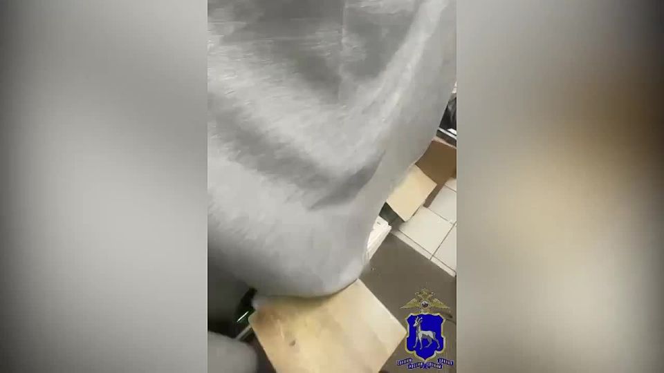 ��������� 55 ������ ���������� ��������������� ������ �� ���������� ��������