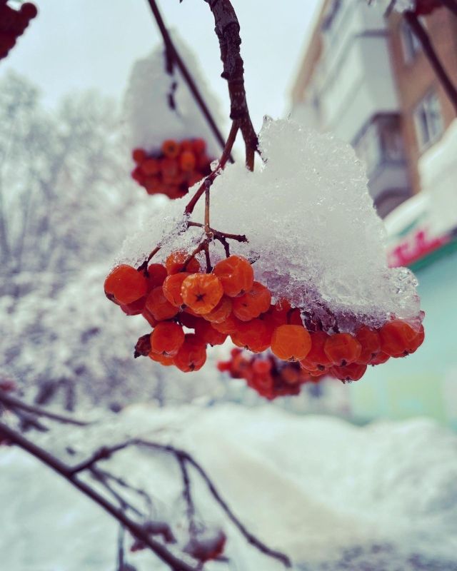 Доброе утро, Тольятти!. На календаре 9 февраля