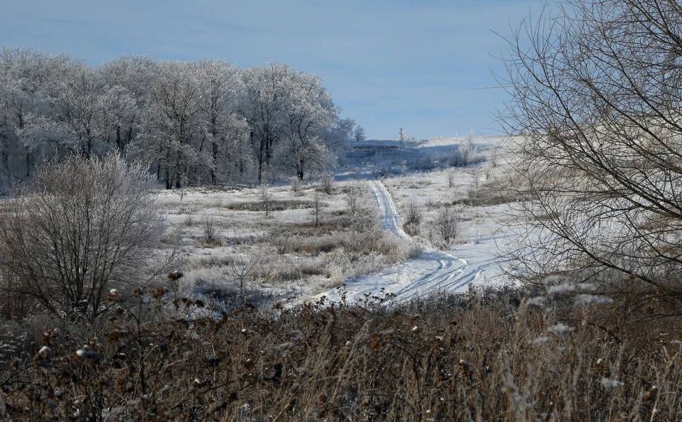 ������� ��������� ���������� ���� ������ �������� �������� ������ �������� � ������� ��������