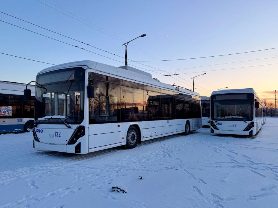 Тольяттинцы осваивают новые пассажирские маршруты
