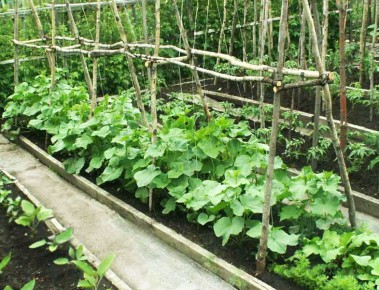 ��� ��������� ������� ������������ ��������� ������������