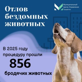 � 2025 ���� � �������� ���� ��������� � ���������� � ������ 856 �������� ��������