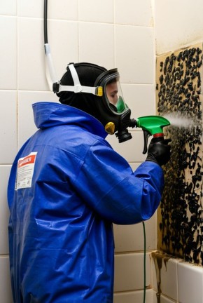 ��� ������ ������ �������: ������ �� ������ � ���������� �������