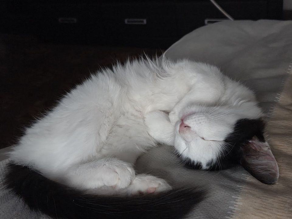 ��� ����� ���� �����, ��� ������� ��� �������� �������� ����!